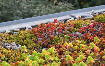 the cost of Magheragall green roof installation