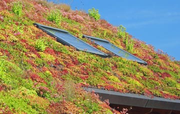 Magheragall living roof systems